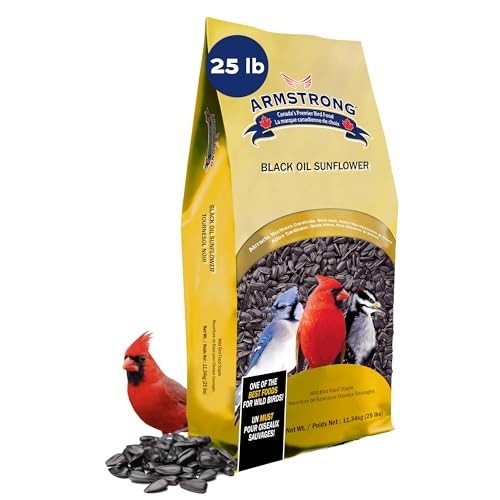 Armstrong Black Oil Sunflower Bird Seed, 25 lbs