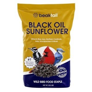 Bangerz Sunz Black Oil Sunflower Seeds for Birds