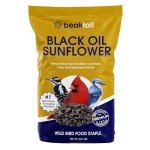 Bangerz Sunz Black Oil Sunflower Seeds for Birds