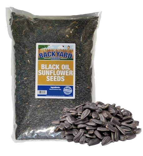Black Oil Sunflower Birdseed
