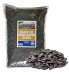 Backyard Black Oil Sunflower Seeds for Wild Birds