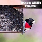 Black Oil Sunflower Seeds for Wild Birds - 12 lbs