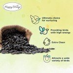 Happy Wings Black Oil Sunflower Seeds 5 lbs