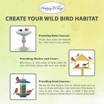 Happy Wings Black Oil Sunflower Seeds 5 lbs