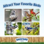 Backyard Black Oil Sunflower Seeds for Wild Birds
