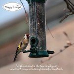 Happy Wings Black Oil Sunflower Seeds 5 lbs