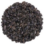 Backyard Black Oil Sunflower Seeds for Wild Birds