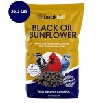 Bangerz Sunz Black Oil Sunflower Seeds for Birds