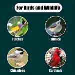Black Oil Sunflower Seeds for Wild Birds – 50 lbs