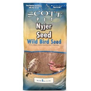 Scott Pet Nyjer Seed for Wild Birds, 8 lbs