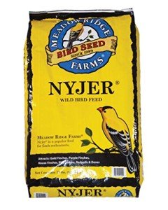 Nyjer Thistle Bird Seed - 20 lb Bag