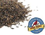 Nyjer Thistle Bird Seed - 20 lb Bag