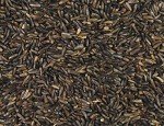Nyjer Thistle Bird Seed - 20 lb Bag