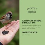 Scott Pet Nyjer Seed for Wild Birds, 8 lbs