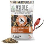 Premium Bird Seed Mix for Outdoor Feeders - 25 lb