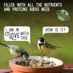 Premium Bird Seed Mix for Outdoor Feeders - 25 lb