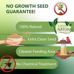 Happy Wings Nyjer Seeds for Wild Birds – 13 Oz