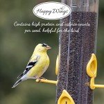 Happy Wings Nyjer Seed for Wild Birds - 10 lbs
