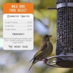 Premium Bird Seed Mix for Outdoor Feeders - 25 lb