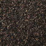 Happy Wings Nyjer Seeds for Wild Birds – 13 Oz