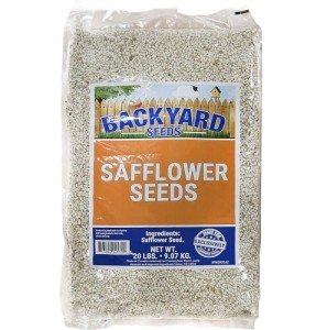 Premium Safflower Bird Seed for Backyard Birds 20 lb