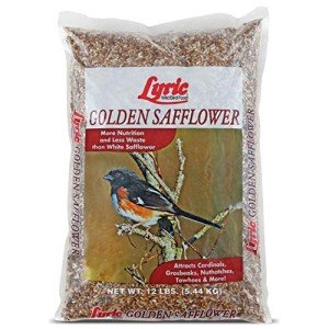 Golden Safflower Seed for Cardinals and More - 12 lb