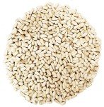 Premium Safflower Bird Seed for Backyard Birds 20 lb