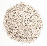 Wagner's Safflower Seed Wild Bird Food, 5 lbs