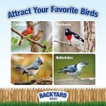 Premium Safflower Bird Seed for Backyard Birds 20 lb