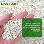 Safflower Seed for Birds - Non-GMO, 25 lbs
