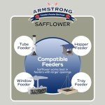 Safflower Bird Seed for Cardinals and Chickadees