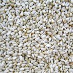 Safflower Seeds for Wild Birds - 5 lbs