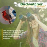 Safflower Seed for Birds - Non-GMO, 25 lbs