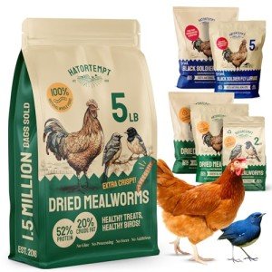 Hatortempt 5 lbs Dried Mealworms for Birds