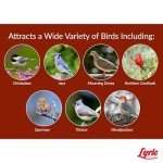 Golden Safflower Seed for Cardinals and More - 12 lb