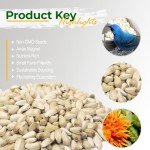 Safflower Seed for Birds - Non-GMO, 25 lbs