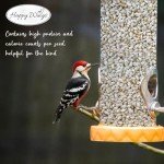 Safflower Seeds for Wild Birds - 5 lbs