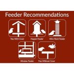 Golden Safflower Seed for Cardinals and More - 12 lb