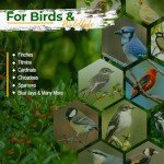 Safflower Seed for Birds - Non-GMO, 25 lbs