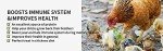 5LB Natural Non-GMO Dried Mealworms for Birds