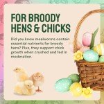 Hatortempt 5 lbs Dried Mealworms for Birds