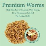 2LB Dried Mealworms for Wild Birds and Poultry