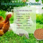 KAYHEN 10LB Non-GMO Dried Mealworms for Birds