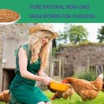 KAYHEN 10LB Non-GMO Dried Mealworms for Birds