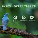 2LB Dried Mealworms for Wild Birds and Poultry