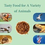 2LB Dried Mealworms for Wild Birds and Poultry