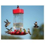 Kaytee Ready-to-Use Hummingbird ElectroNectar, 64 Oz