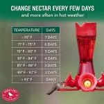 Perky-Pet Hummingbird Nectar Concentrate, 32 oz