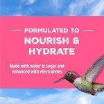 Pennington Ready-to-Use Hummingbird Food, 64 oz