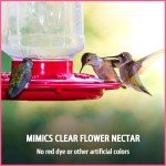 Pennington Ready-to-Use Hummingbird Food, 64 oz